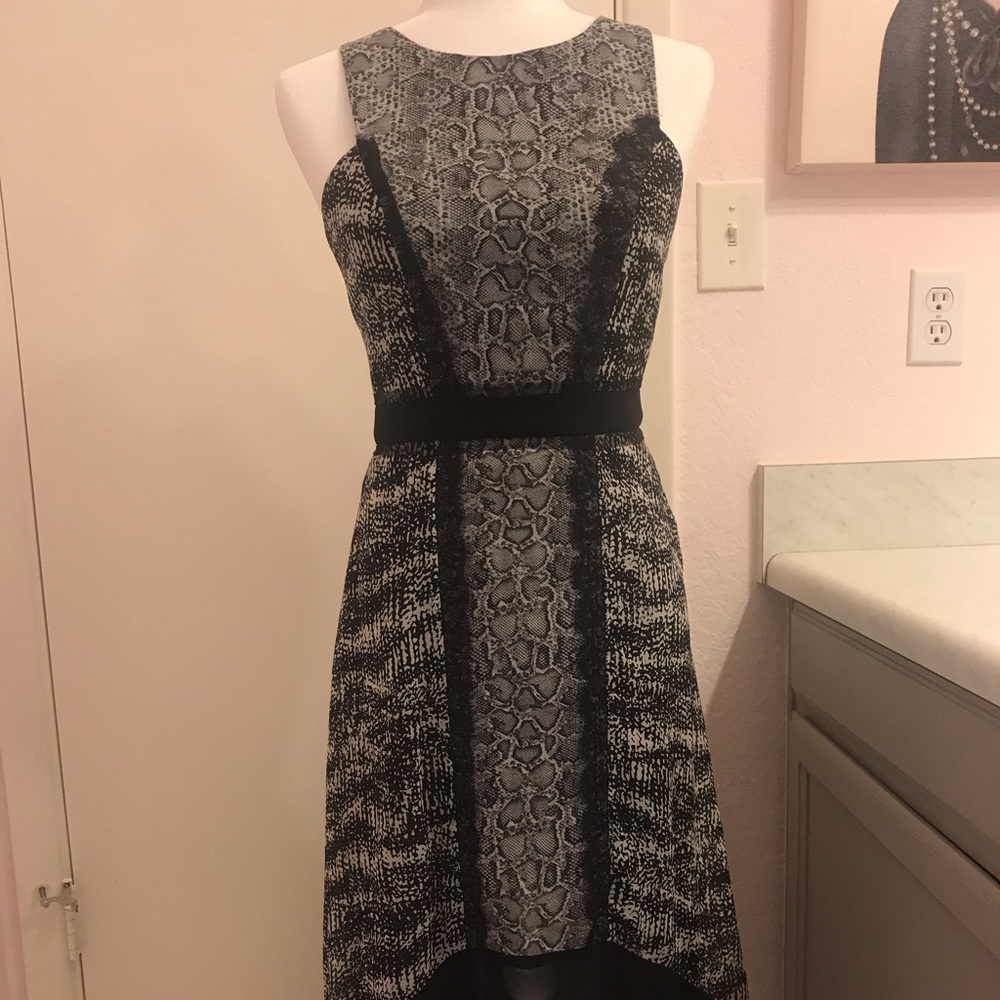 BCBG snake print and lace hi/low dress